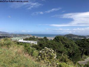 Randonnée au mont Victoria - Wellington - Notre 65eme croisière Atlantis (à bord du Noordam)