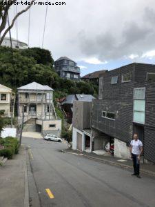 Randonnée au mont Victoria - Wellington - Notre 65eme croisière Atlantis (à bord du Noordam)