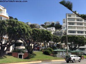 Wellington - Notre 65eme croisière Atlantis (à bord du Noordam)