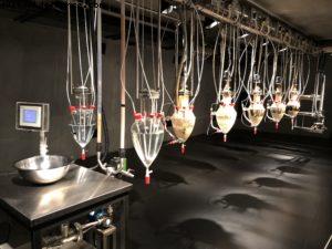 Le Musée MONA - Hobart - Notre 65eme croisière Atlantis (à bord du Noordam)