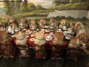 Le Musée MONA - Hobart - Notre 65eme croisière Atlantis (à bord du Noordam)