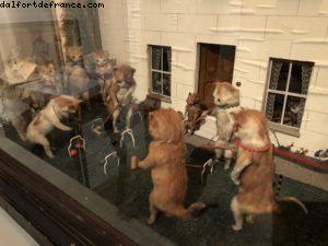 Le Musée MONA - Hobart - Notre 65eme croisière Atlantis (à bord du Noordam)