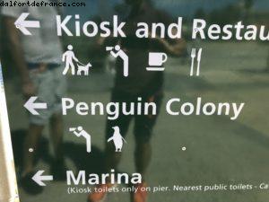 St Kilda - Melbourne - Notre 65eme croisière Atlantis (à bord du Noordam)