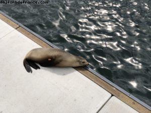 Monterey - Californie 