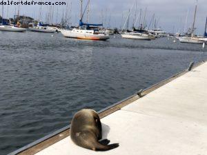 Monterey - Californie 