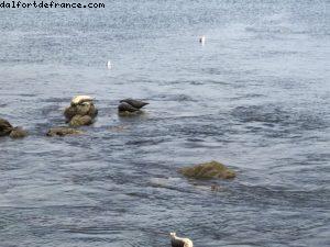 Monterey - Californie 