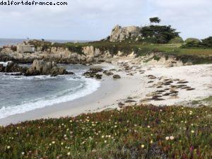 Monterey - Californie 