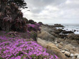 Monterey - Californie 