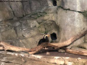 Aquarium - Monterey - Californie 