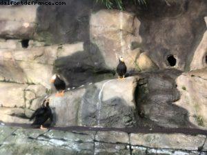 Aquarium - Monterey - Californie 