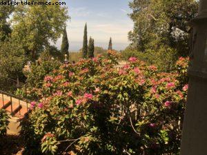 Hearst Castle - San Simeon
