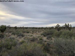 Route Entre Palm Springs et Las Vegas (Route 66)