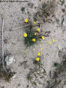 Route Entre Palm Springs et Las Vegas (Route 66)