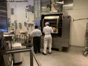 California Adventure - Disneyland