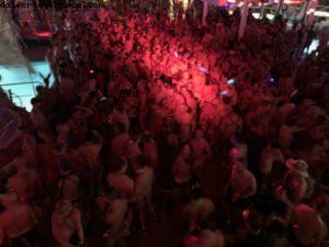 Animal Instinct - Notre 69eme croisière Atlantis (à bord du NCL Pearl) 