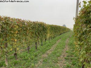 Annunziata - La Morra