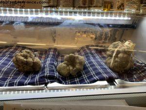 Foire aux Truffes - Alba