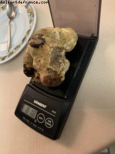 Il Vignetto - Roddi - La Morra