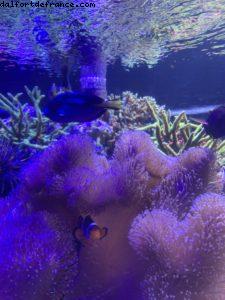 Epcot - Walt Disney World