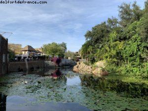 Animal Kingdom - Walt Disney World