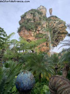 Animal Kingdom - Walt Disney World