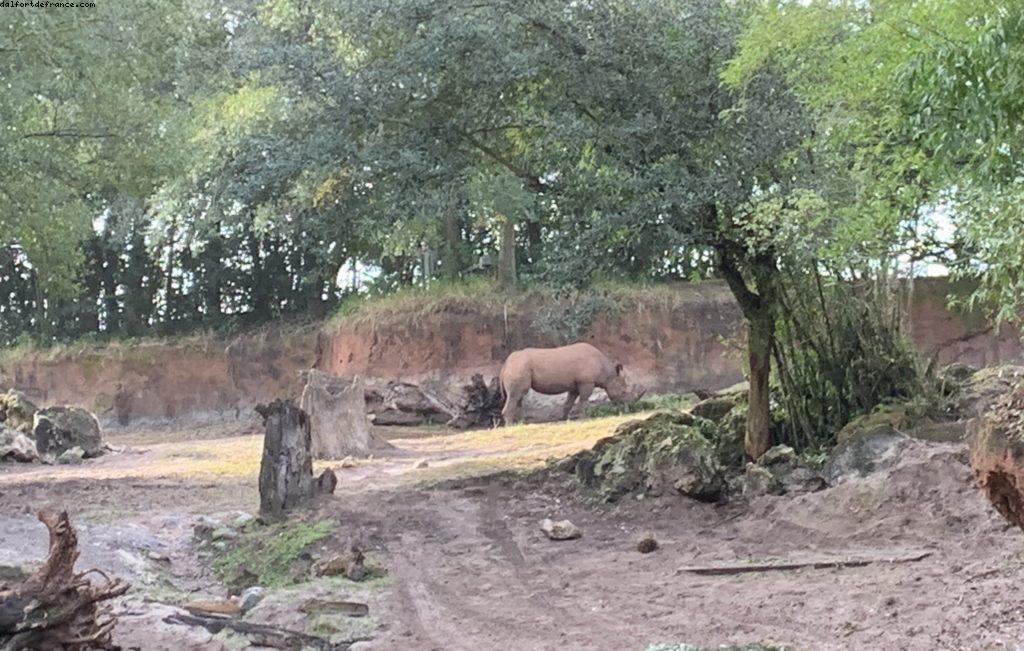 Animal Kingdom - Walt Disney World