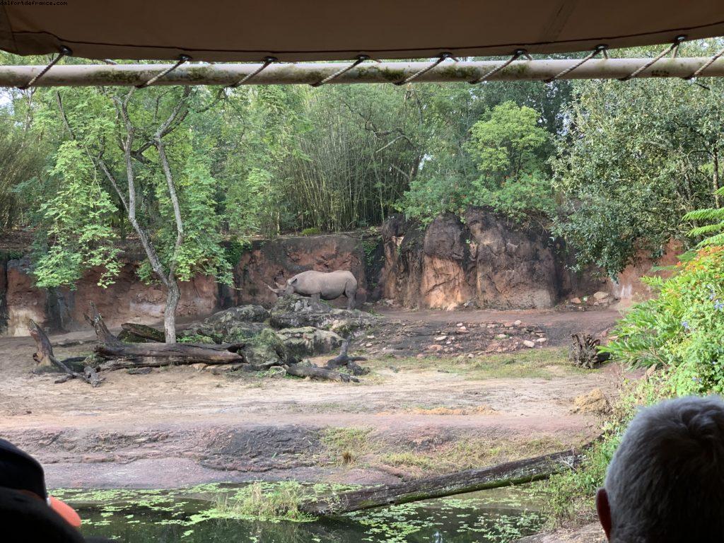 Animal Kingdom - Walt Disney World