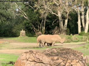 Animal Kingdom - Walt Disney World