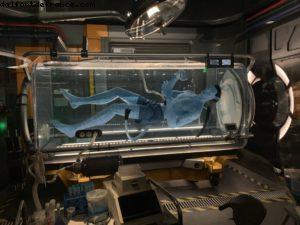 Animal Kingdom - Walt Disney World