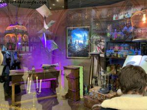 Vitrines de Noël - Paris