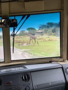 Animal Kingdom - Walt Disney World