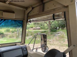 Animal Kingdom - Walt Disney World