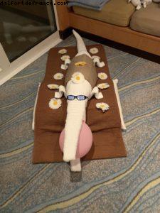 Suite #8730 - Our 70th Atlantis cruise (Allure of the Seas)