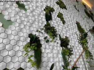 Eden - Notre 71eme Croisière Atlantis (à bord du Celebrity Edge) 