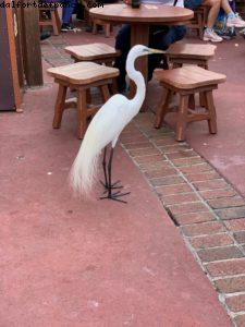 Magic Kingdom - Walt Disney World