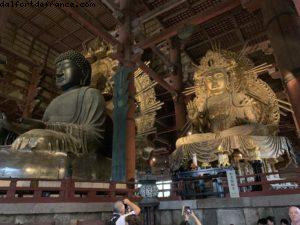 Nara, Japan - Our 72nd Atlantis cruise (Norvegian Jewel)