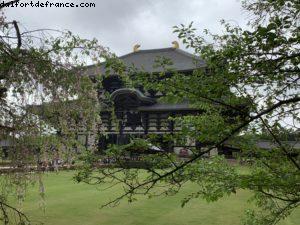 Nara, Japan - Our 72nd Atlantis cruise (Norvegian Jewel)