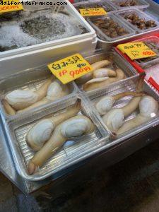 Shimizu, Japan - Our 72nd Atlantis cruise (Norvegian Jewel)