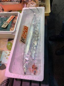 Shimizu, Japan - Our 72nd Atlantis cruise (Norvegian Jewel)