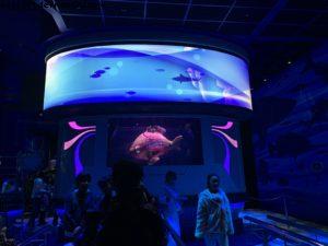 DisneySea - Tokyo Disneyland