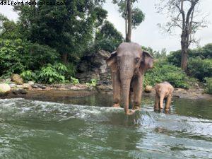 Disneyland Hong Kong