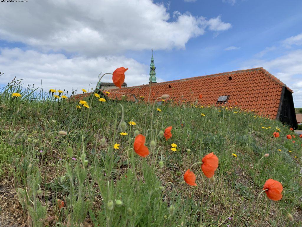 Château de Kronborg - Helsingor