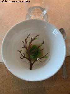 Geranium - Copenhague