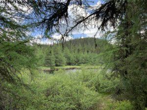 Driving from Quebec to Chicoutimi