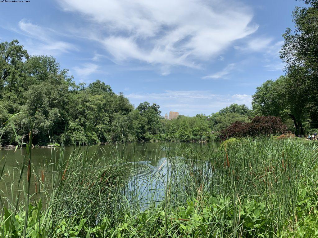 50eme anniversaire des émeutes de Stonewall - Ville de New York 