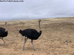 Route entre Praia Da Luz et Lisbonne