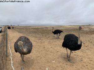 Route entre Praia Da Luz et Lisbonne
