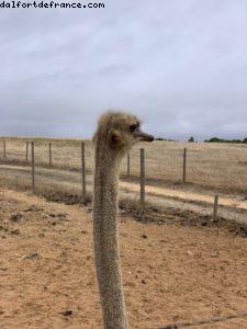 Route entre Praia Da Luz et Lisbonne