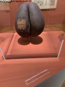 Marseille - Notre 73eme croisière Atlantis(à bord de l'Allure of the Seas)