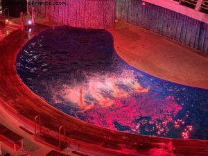 Aqua Nation - Notre 73eme croisière Atlantis(à bord de l'Allure of the Seas)